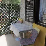 Matesic 扎达尔