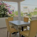 Matesic 扎达尔