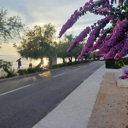 Matesic * זאדאר